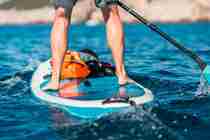 Adobestock 409506346 SUP Stand Up Paddleboarding