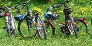 Lymington Bike Hires In Field
