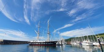 Ts Royalist Mark Canning
