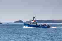 Neyland Fishing Boat