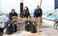 The Wild Oysters Project. David Nairn, Project Officer. Celine Gamble, ZSL. Jacob Kean Hammerson, BLUE. (C) ZSL
