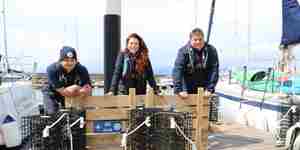 The Wild Oysters Project. David Nairn, Project Officer. Celine Gamble, ZSL. Jacob Kean Hammerson, BLUE. (C) ZSL