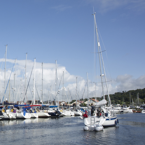 D/E Pontoons